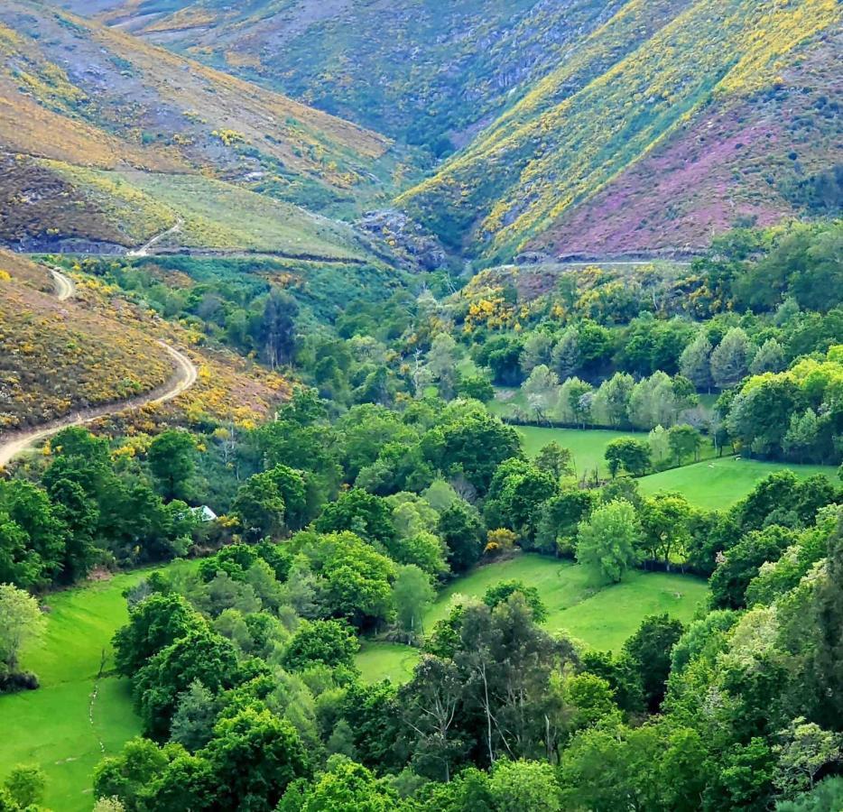 Casa Da Torre - Paraiso No Norte De Portugal Cabeceiras de Basto Dış mekan fotoğraf